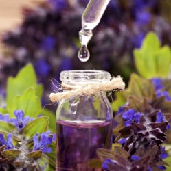 Bach flower remedies_negyzet